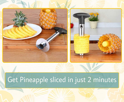 Stainless Steel Pineapple cutter